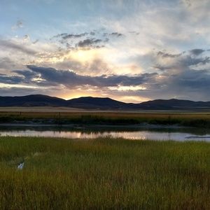 Meet your Posher, Janetta